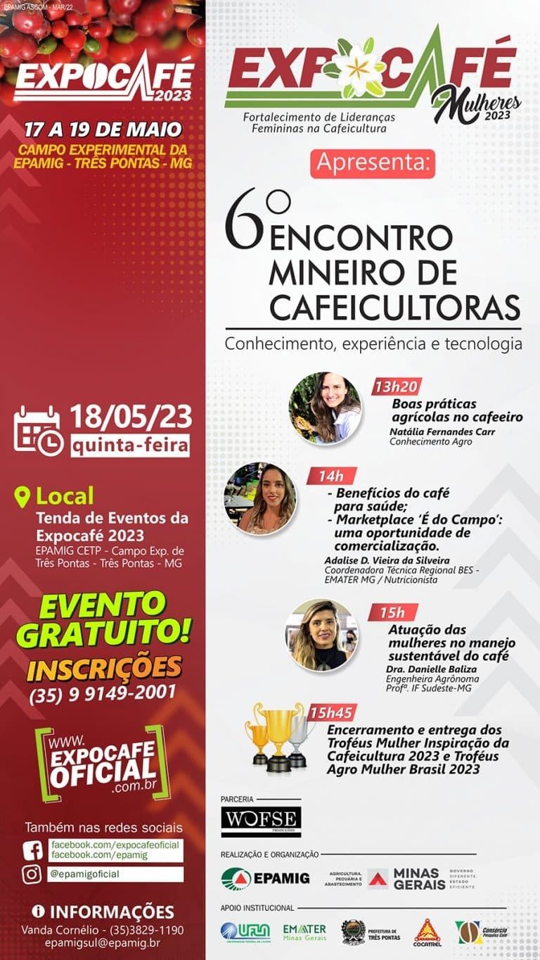 Figura 1