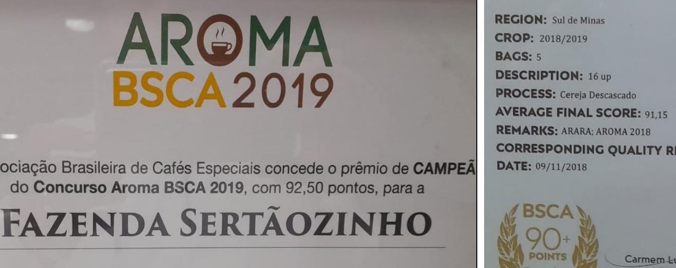 Figura 1