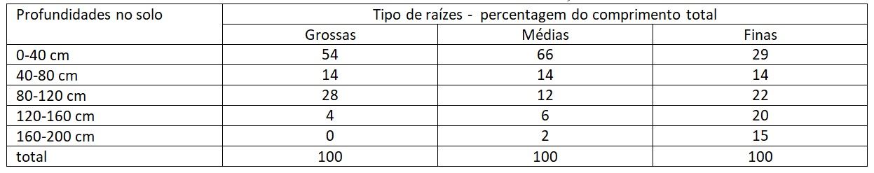 Figura 1