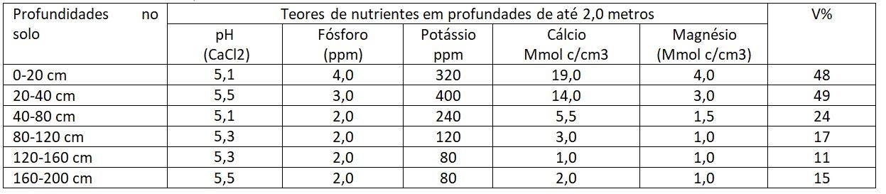 Figura 2