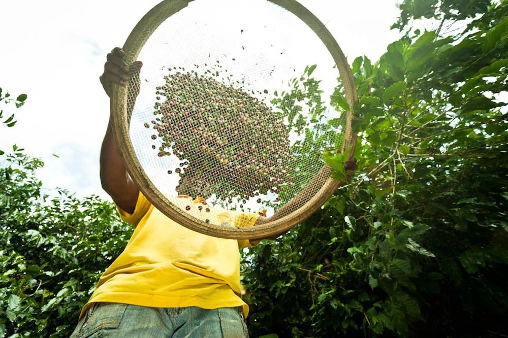 Foto: Felipe Gombossy/ Café Editora