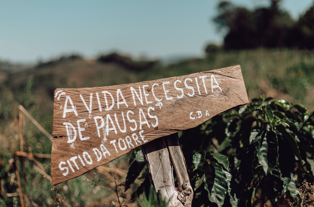 Figura 1