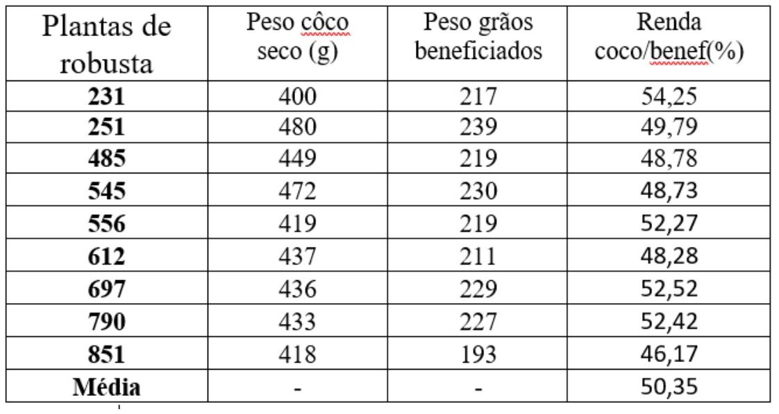 Figura 3