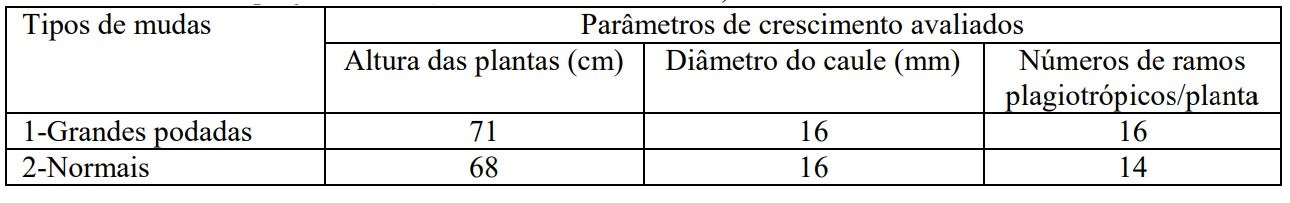 Figura 1