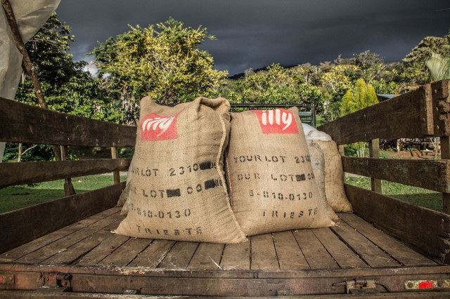 Foto: Divulgação/ illycaffè