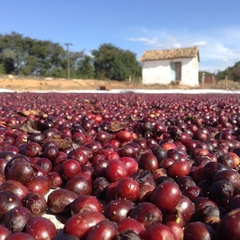Foto: Divulgação / Fazenda Cachoeira