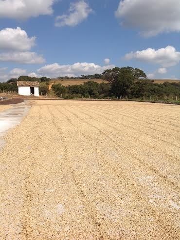 Foto: Divulgação / Fazenda Cachoeira