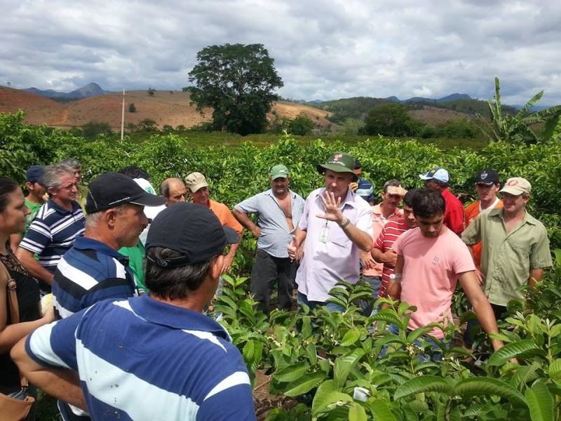 Foto: Divulgação / Incaper