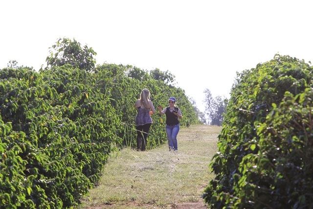 Foto: Divulgação / Rota do Café