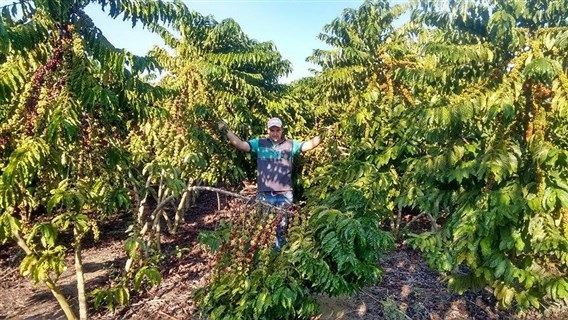 Fotos Eu no Campo: registro do leitor Evandro Tessarolo, do Espírito Santo