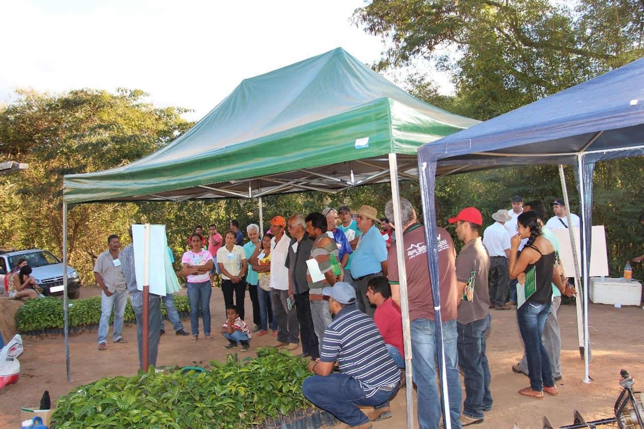 Foto: Divulgação/ Epamig