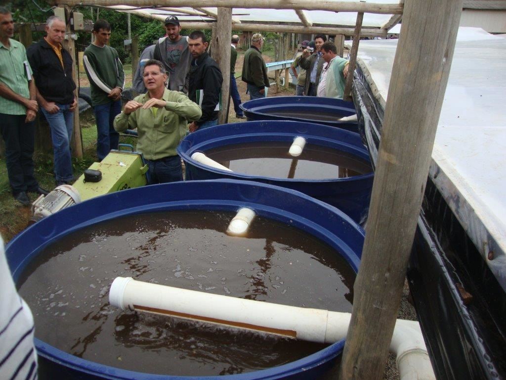 Foto: Divulgação/Epamig