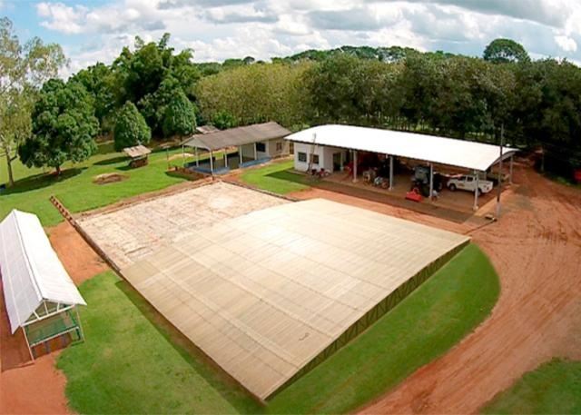 Foto: Rafael Rocha/ Embrapa Rondônia