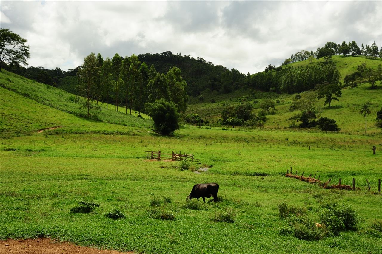 Propriedade Itaverava // Foto: Emater(MG)/ Divulgação