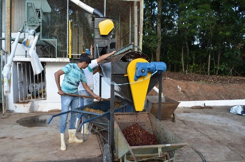 Foto: Divulgação / IFSuldeMinas campus Machado