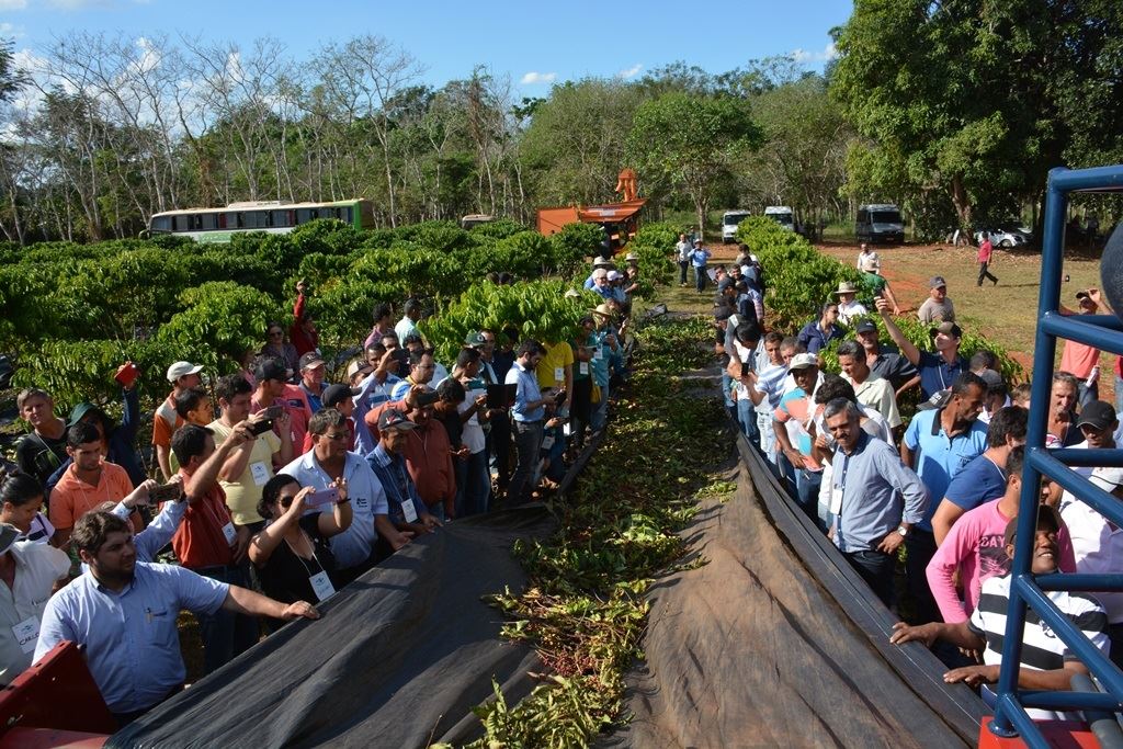 Foto: Renata Silva / Embrapa Rondônia
