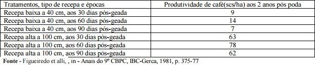 Quadro 2- Resultados de produtividade de café em plantas podas por recepa, alta e baixa, em diferentes épocas após geada. Cafezal MN, aos 7 anos idade, espaçamento 4x 1m, atingido por geada severa. S.A. Amparo-MG, 1981.