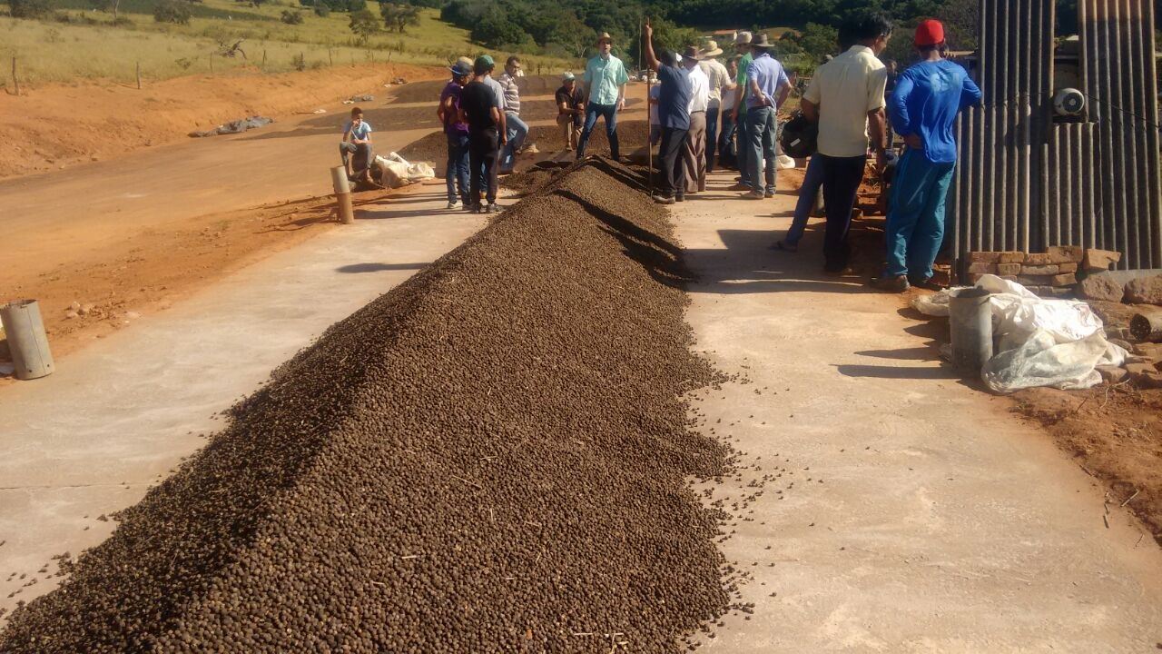 Foto: Emater (MG)/ Divulgação