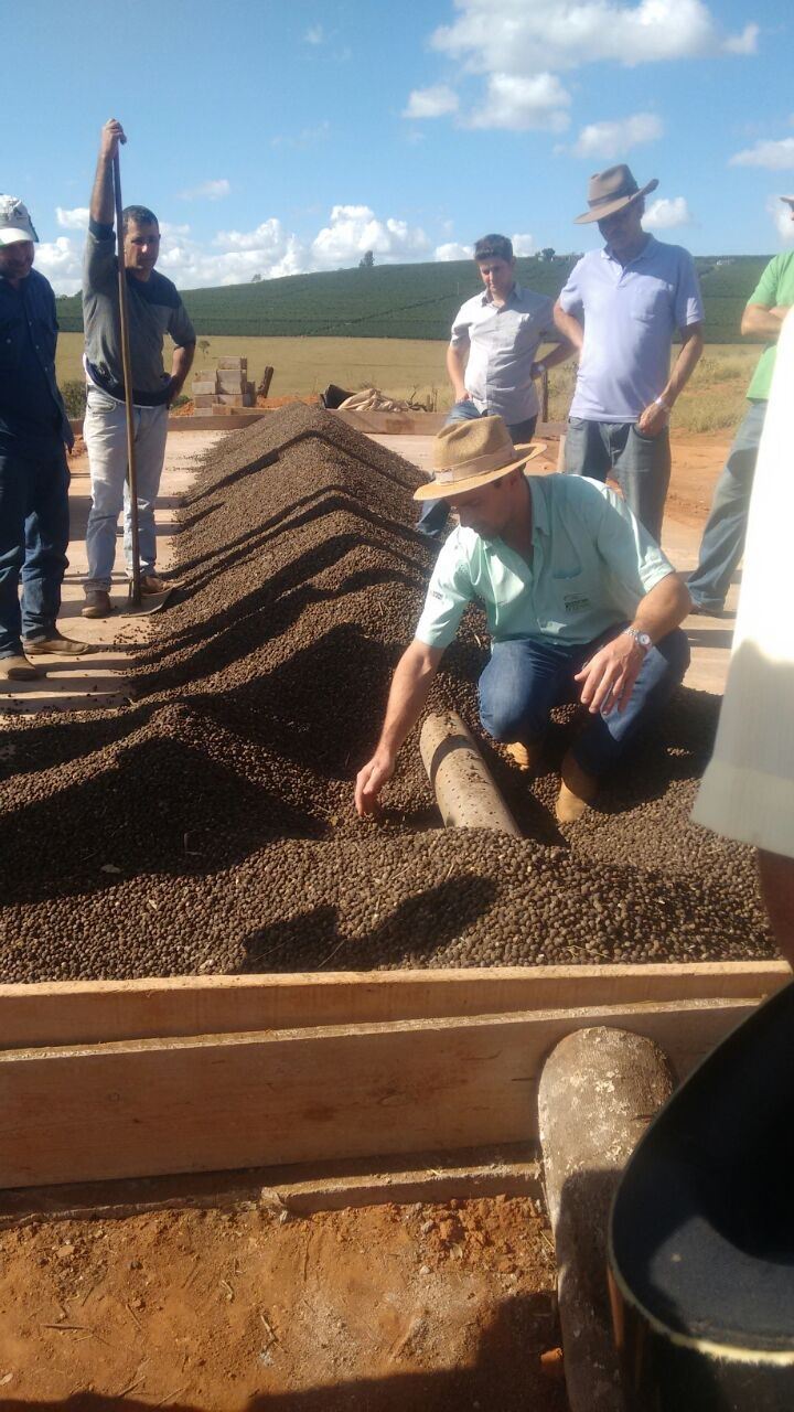 Foto: Emater (MG)/ Divulgação