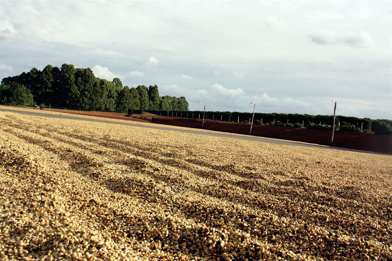 Foto: Café Mitsuo Nakao/ Divulgação