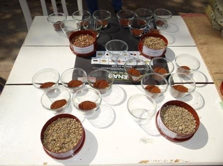 Foto: Projeto Desenvolvimento Cafeicultura SAA