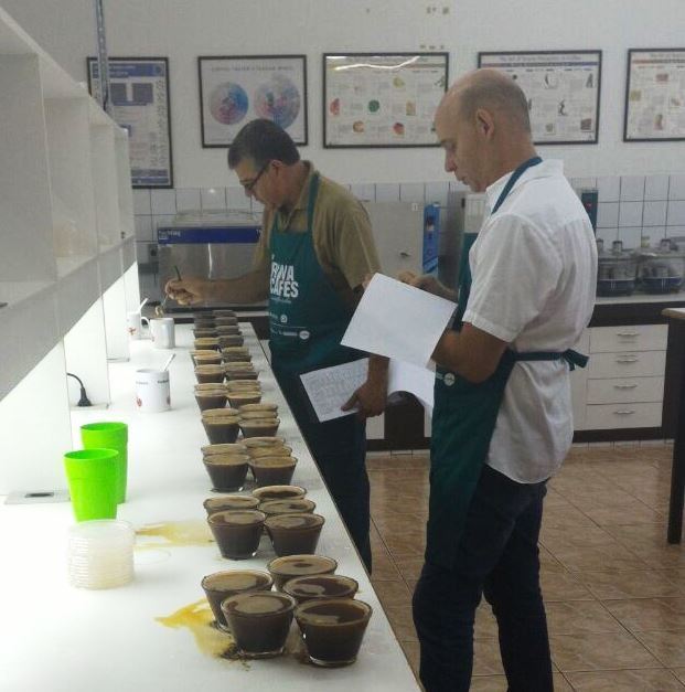 Foto: Divulgação/ Imaflora