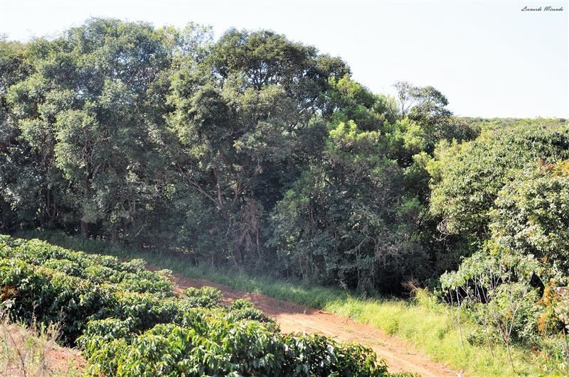 Corredores ecológicos criam um ambiente mais saudável // Foto: Leonardo Miranda
