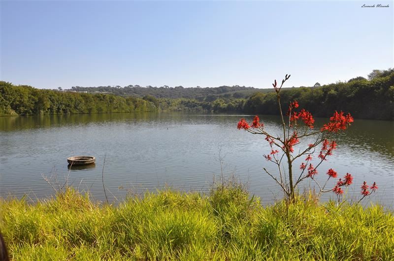 A Fazenda fez nove grandes açudes e nove poços menores para garantir o abastecimento de espécies da flora e fauna // Foto: Leonardo Miranda