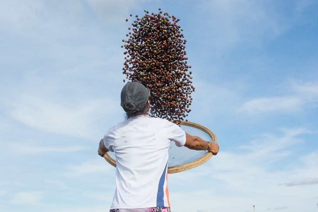 Foto: Marina Carvalho/ Daterra