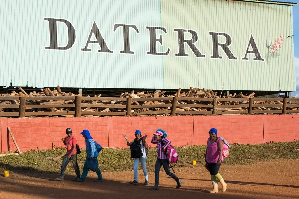Foto: Marina Carvalho/ Daterra