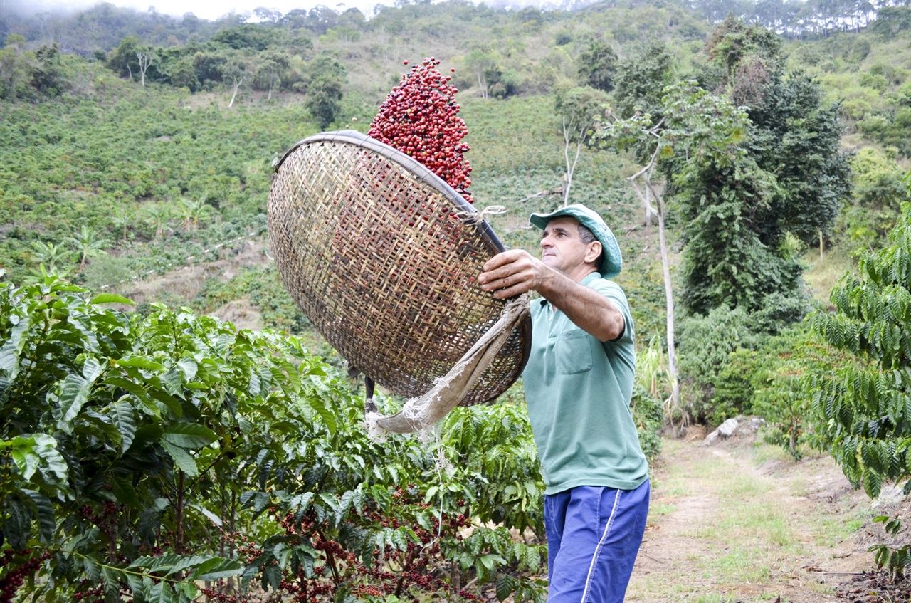 Foto: Coopeavi/ Divulgação