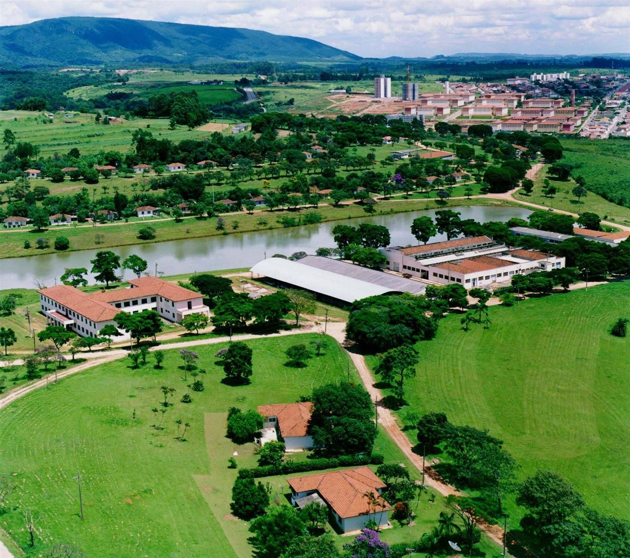 Foto: IAC  Jundiaí