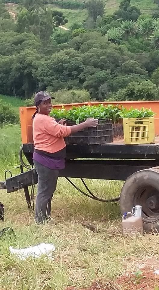 Foto: IWCA Mantiqueira