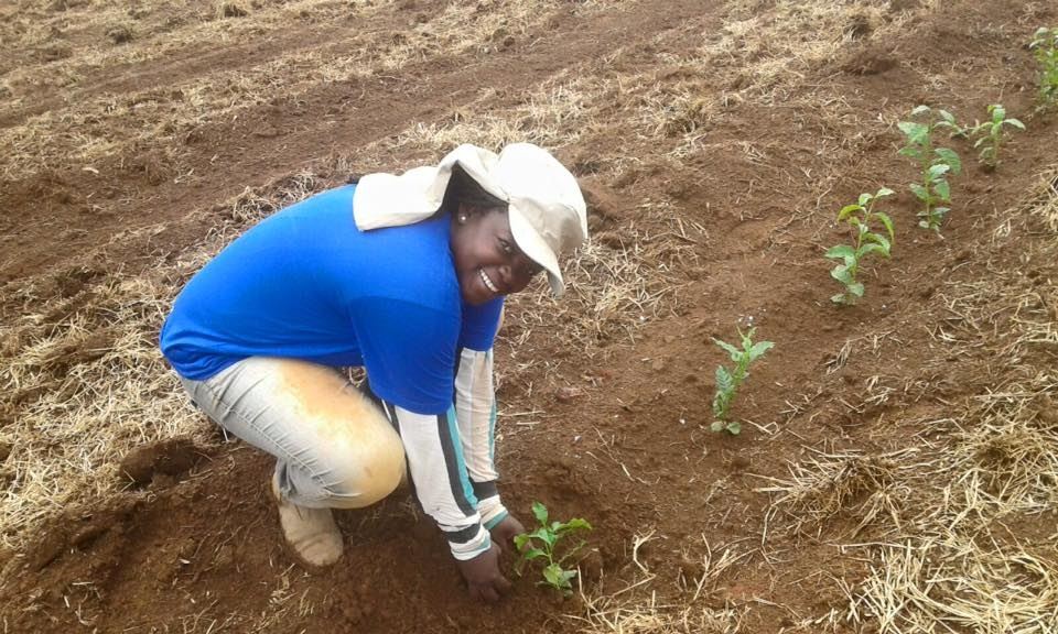 Foto: IWCA Mantiqueira