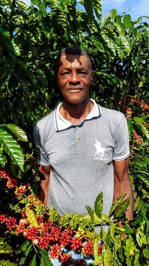 Foto: Dhiony Costa e Silva / Câmara Setorial do Café do Estado de Rondônia