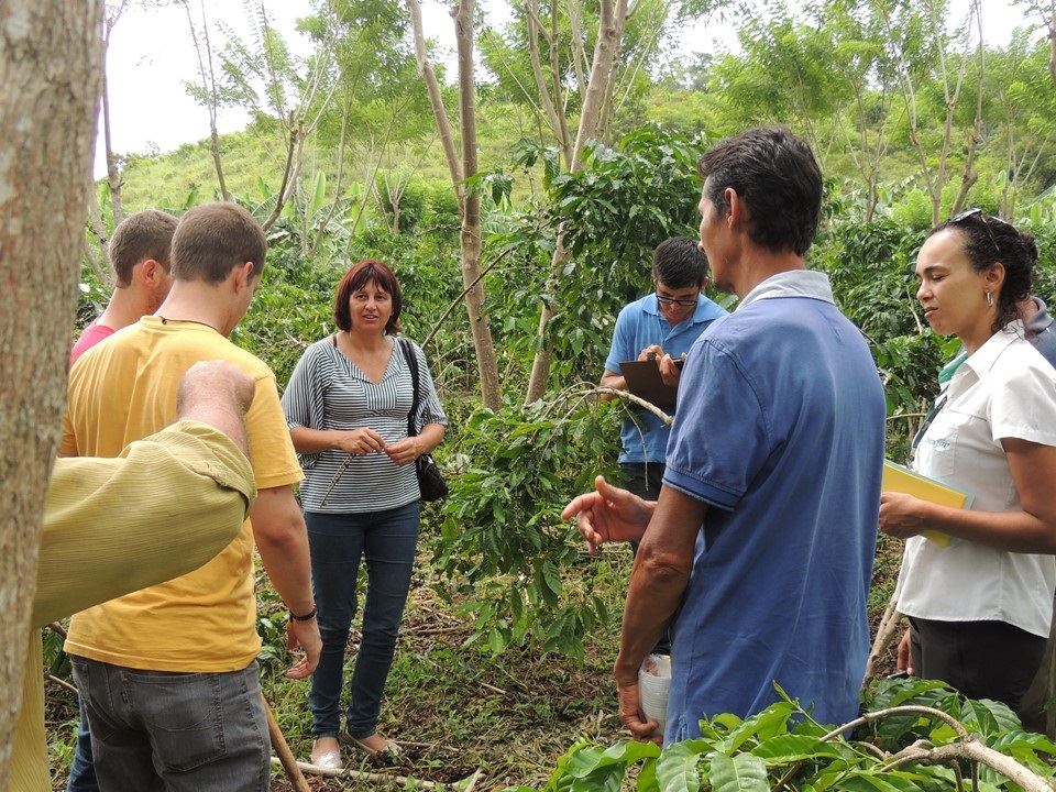 Foto: Incaper/ Divulgação