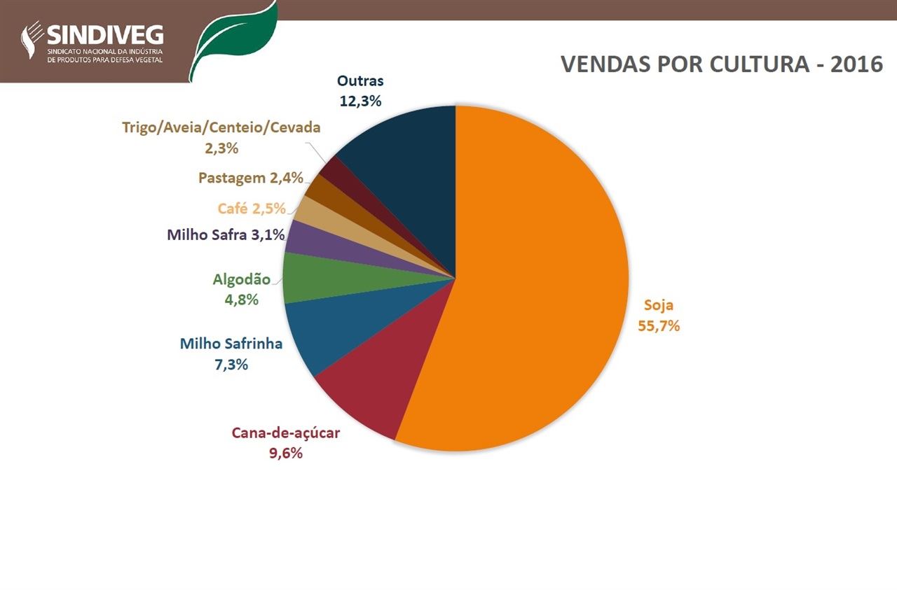 Gráfico: Sindiveg