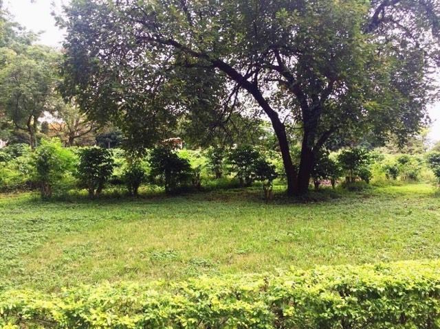 Foto: Camila Cechinel