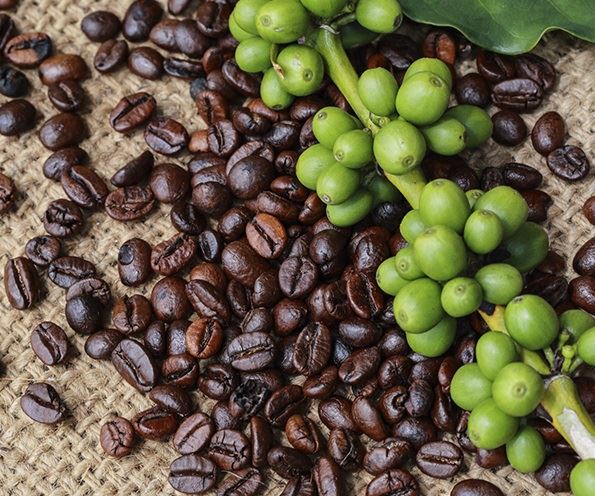 Foto: Divulgação/Lavazza