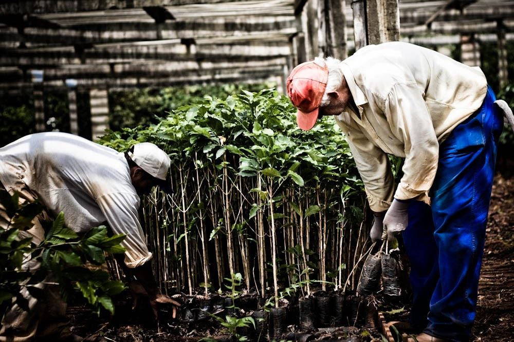 Foto: Paula Rúpulo/Café Editora