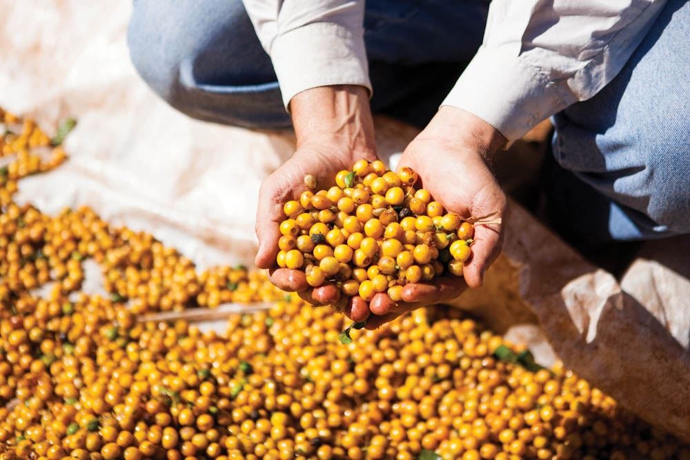 Foto: Alexia Santi/Agência Ophelia