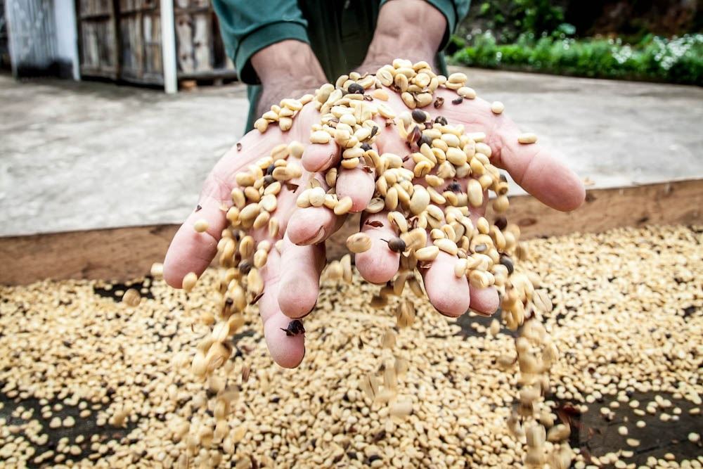 Foto: Bruno Lavorato/Café Editora