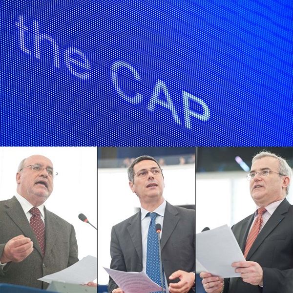 União Europeia aprova nova política agrícola comum com subsídios