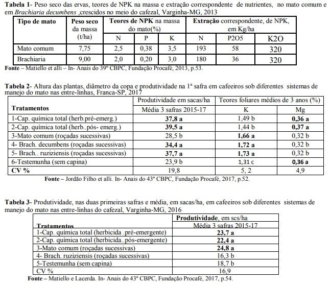 Figura 1