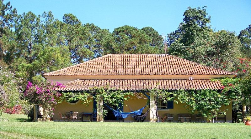 Figura 1