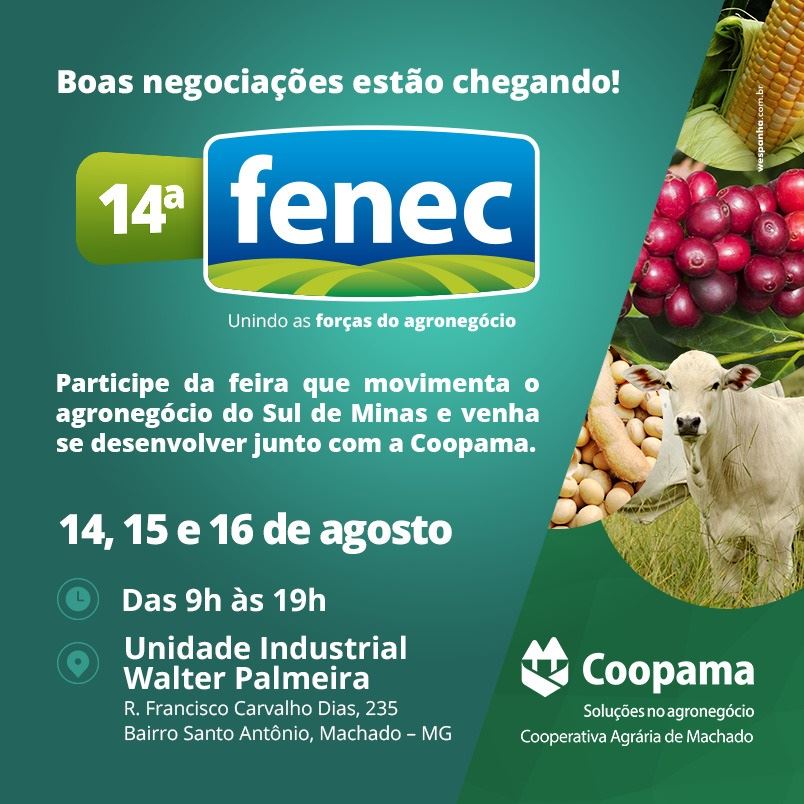 Figura 1