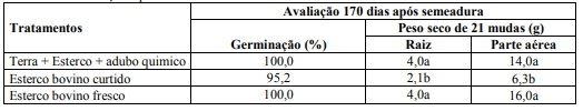 Figura 1