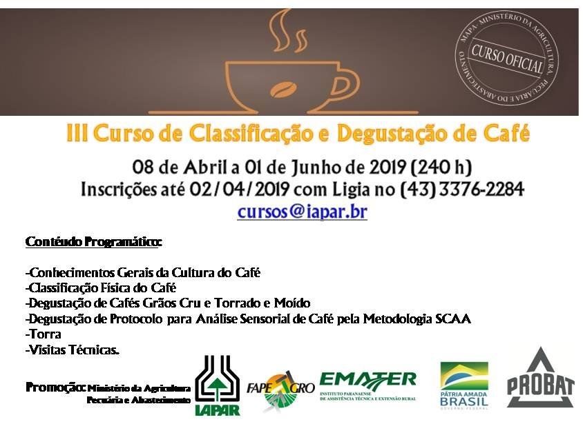 Figura 1