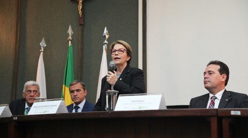 Figura 1