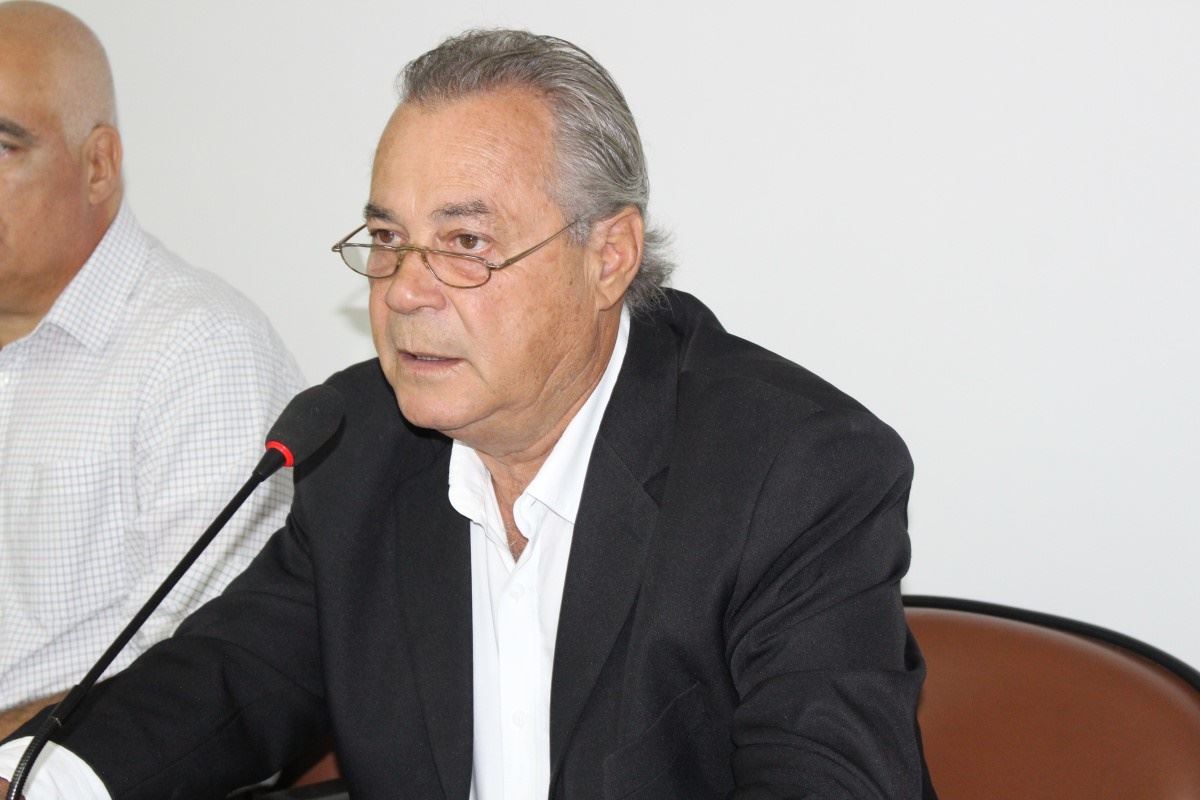 Figura 1